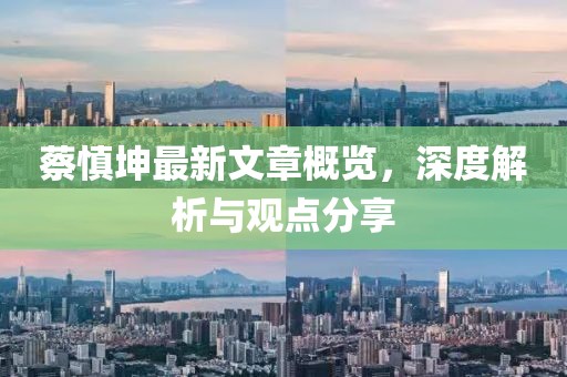 蔡慎坤最新文章概览，深度解析与观点分享