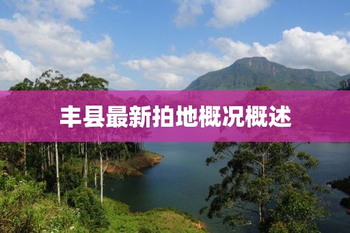 丰县最新拍地概况概述