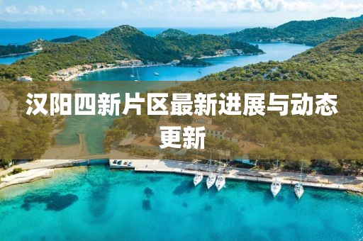 汉阳四新片区最新进展与动态更新