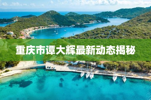 重庆市谭大辉最新动态揭秘