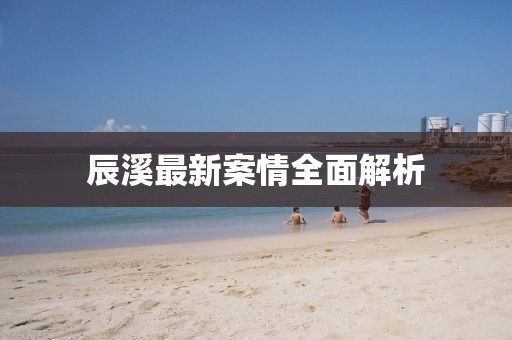辰溪最新案情全面解析