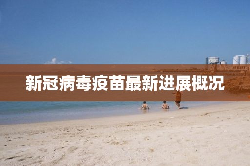 新冠病毒疫苗最新进展概况
