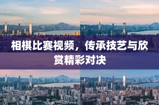 相棋比赛视频，传承技艺与欣赏精彩对决