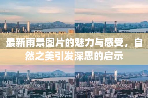 最新雨景图片的魅力与感受，自然之美引发深思的启示