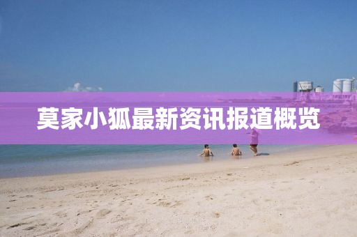 莫家小狐最新资讯报道概览