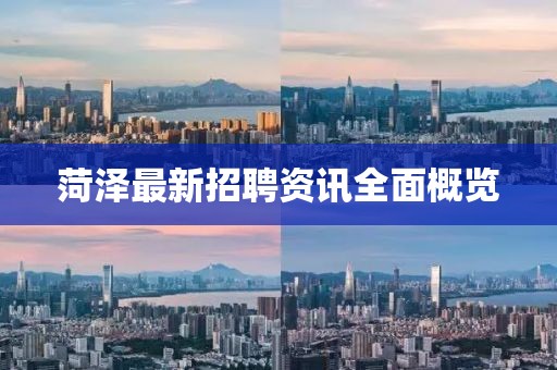 菏泽最新招聘资讯全面概览