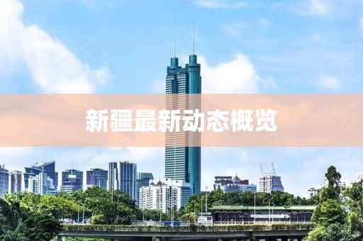 新疆最新动态概览