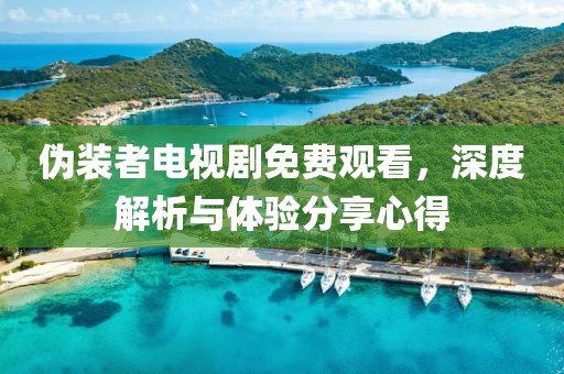 伪装者电视剧免费观看，深度解析与体验分享心得