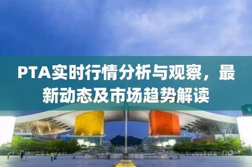 PTA实时行情分析与观察，最新动态及市场趋势解读
