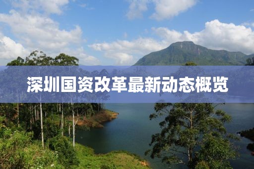深圳国资改革最新动态概览