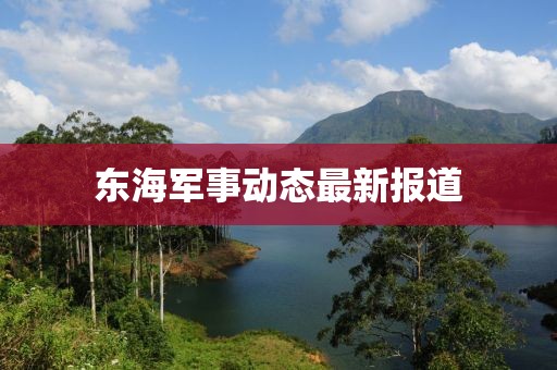 东海军事动态最新报道