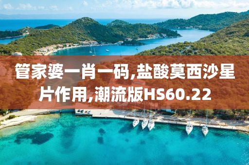 管家婆一肖一码,盐酸莫西沙星片作用,潮流版HS60.22