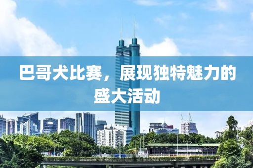 巴哥犬比赛，展现独特魅力的盛大活动