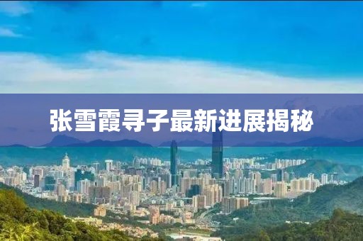 张雪霞寻子最新进展揭秘