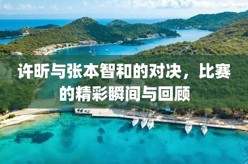 许昕与张本智和的对决，比赛的精彩瞬间与回顾