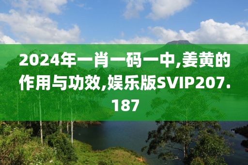 2024年一肖一码一中,姜黄的作用与功效,娱乐版SVIP207.187
