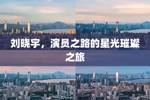 刘晓宇，演员之路的星光璀璨之旅