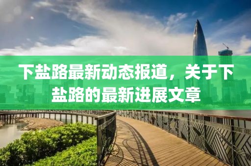 下盐路最新动态报道，关于下盐路的最新进展文章