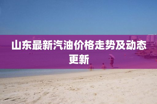 山东最新汽油价格走势及动态更新