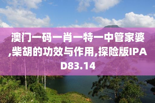 澳门一码一肖一特一中管家婆,柴胡的功效与作用,探险版IPAD83.14