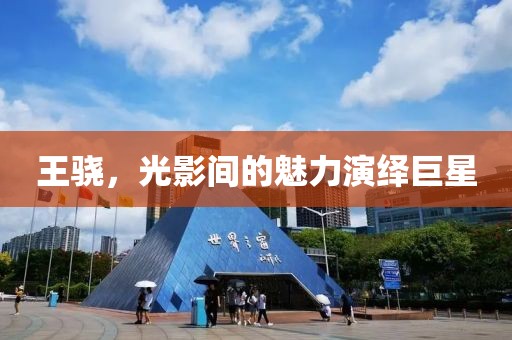 王骁，光影间的魅力演绎巨星