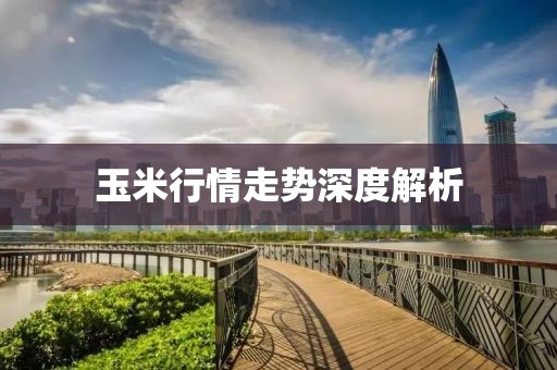 玉米行情走势深度解析