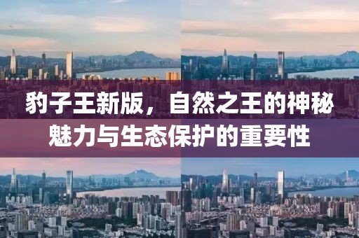 豹子王新版，自然之王的神秘魅力与生态保护的重要性
