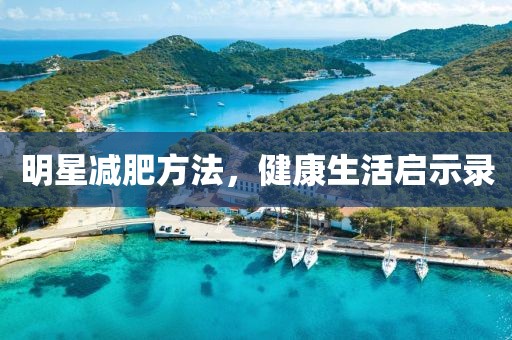 明星减肥方法，健康生活启示录