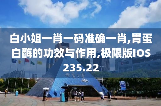 白小姐一肖一码准确一肖,胃蛋白酶的功效与作用,极限版IOS235.22