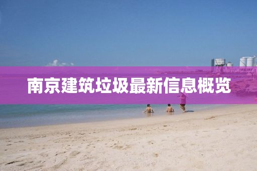 南京建筑垃圾最新信息概览