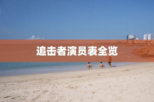追击者演员表全览