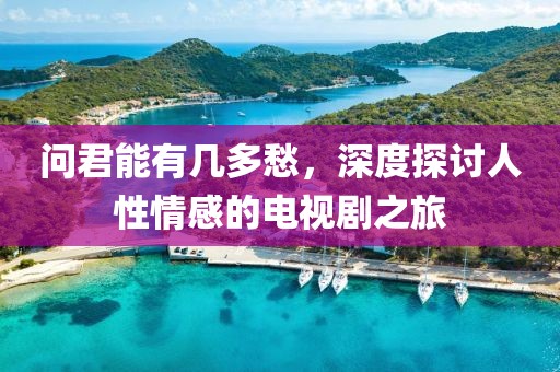 问君能有几多愁，深度探讨人性情感的电视剧之旅