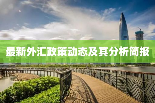 最新外汇政策动态及其分析简报