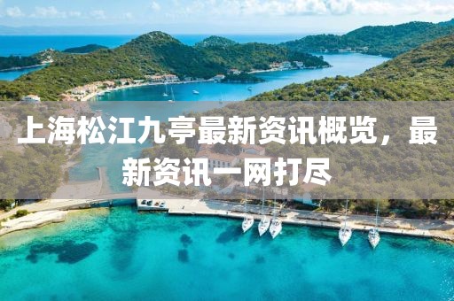 上海松江九亭最新资讯概览，最新资讯一网打尽