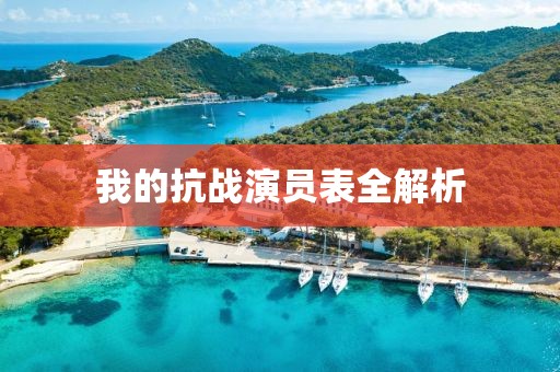 我的抗战演员表全解析