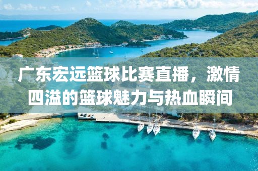 广东宏远篮球比赛直播，激情四溢的篮球魅力与热血瞬间