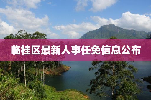 临桂区最新人事任免信息公布