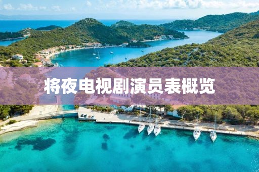 将夜电视剧演员表概览