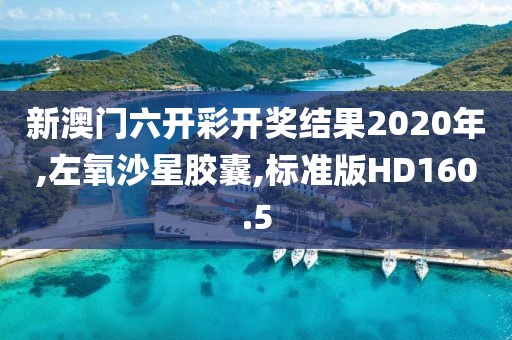 新澳门六开彩开奖结果2020年,左氧沙星胶囊,标准版HD160.5