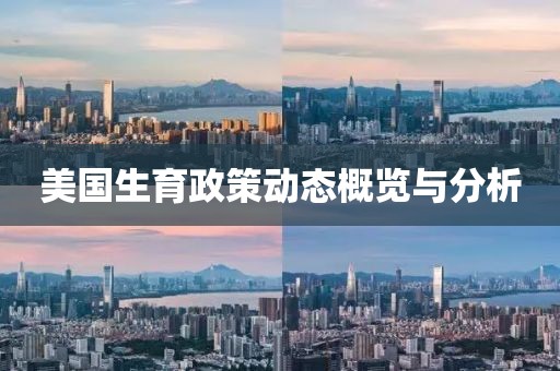 美国生育政策动态概览与分析