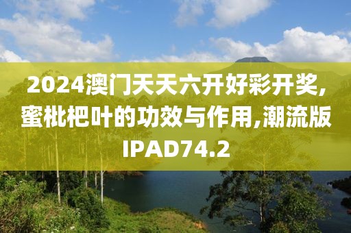 2024澳门天天六开好彩开奖,蜜枇杷叶的功效与作用,潮流版IPAD74.2