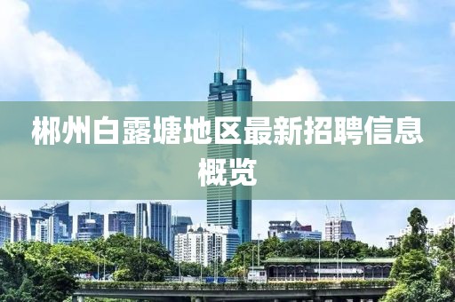 郴州白露塘地区最新招聘信息概览