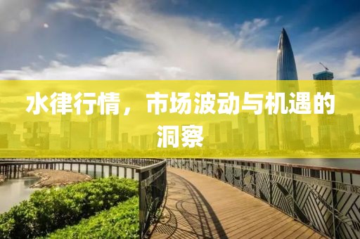水律行情，市场波动与机遇的洞察