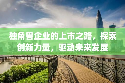 独角兽企业的上市之路，探索创新力量，驱动未来发展