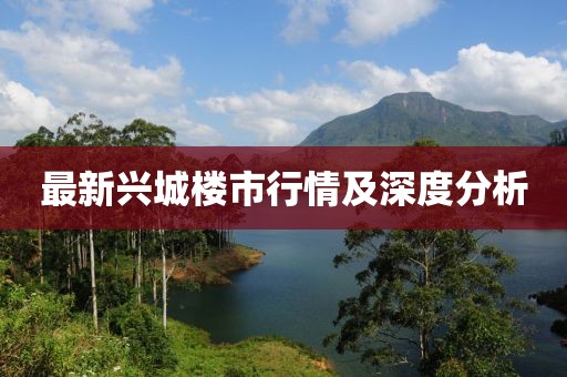 最新兴城楼市行情及深度分析