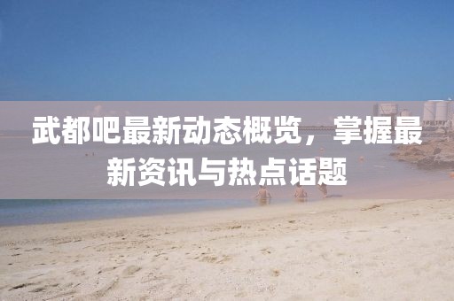 武都吧最新动态概览，掌握最新资讯与热点话题