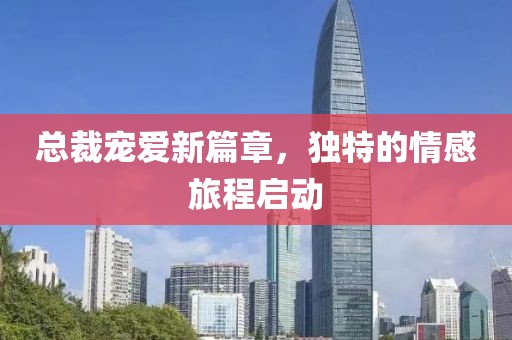 总裁宠爱新篇章，独特的情感旅程启动