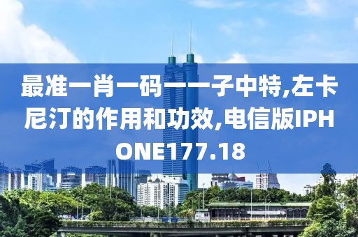 最准一肖一码一一子中特,左卡尼汀的作用和功效,电信版IPHONE177.18