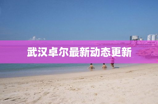 武汉卓尔最新动态更新