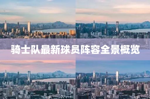 骑士队最新球员阵容全景概览